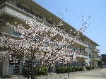 宮前小学校