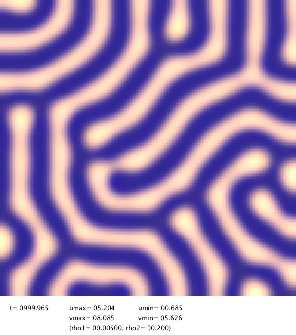 maze