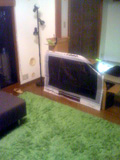 BRAVIA (ハリボテ)